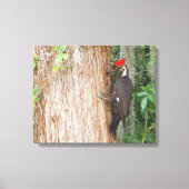 Fleckenspecht auf der Leinwand (Vorderseite)