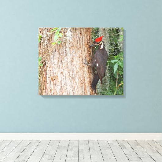 Fleckenspecht auf der Leinwand (Insitu (Holzboden))
