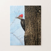 Fleckenspecht - Vogel - Puzzle (Vertikal)