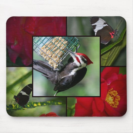 Fleckenspecker-Mauspad Mousepad (Vorne)