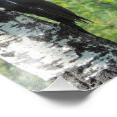 Flecker Fotodruck (Ecke)