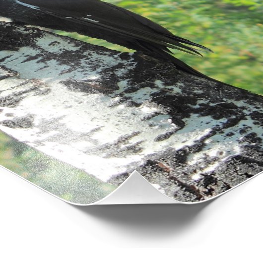 Flecker Fotodruck (Ecke)