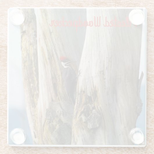 Flecker Glasuntersetzer (Rückseite)