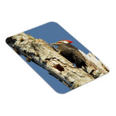 Flecker Magnet (Rechte Seite)