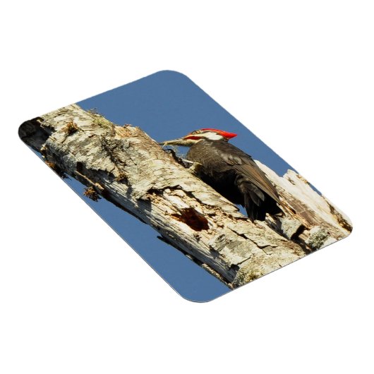 Flecker Magnet (Rechte Seite)