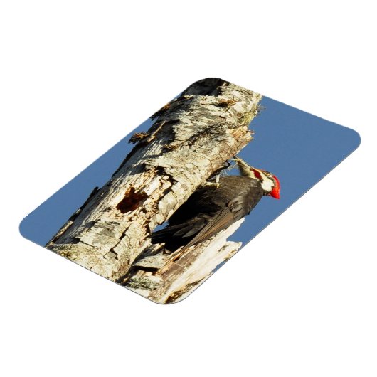 Flecker Magnet (Linke Seite)