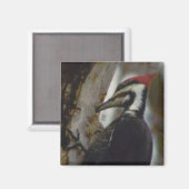 Flecker Magnet (Vorderseite/Rückseite)