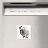 Flecker Magnet (In Situ (Geschirrspüler))