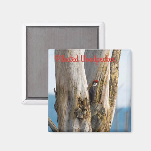 Flecker Magnet (Vorderseite/Rückseite)