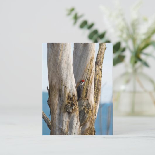 Flecker Postkarte (Stehend Vorderseite)