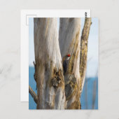 Flecker Postkarte (Vorne/Hinten)