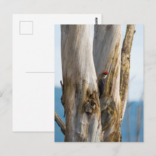 Flecker Postkarte (Vorne/Hinten)