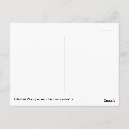 Flecker Postkarte (Rückseite)