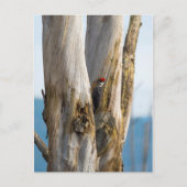 Flecker Postkarte (Vorderseite)