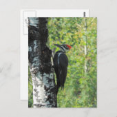 Flecker Postkarte (Vorne/Hinten)