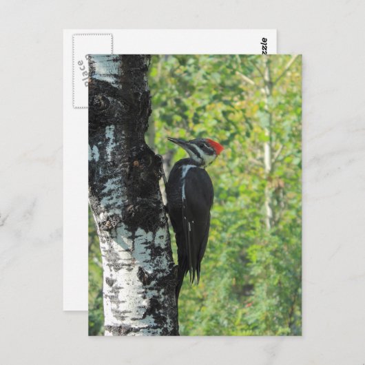 Flecker Postkarte (Vorne/Hinten)