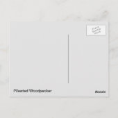 Flecker Postkarte (Rückseite)