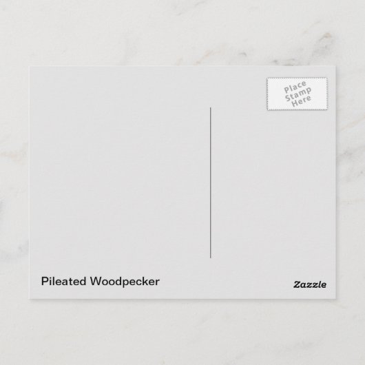 Flecker Postkarte (Rückseite)