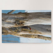 Flecker Puzzle (Horizontal)