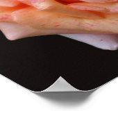 Fleckige PfirsichRose im Blut Poster (Ecke)
