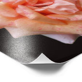 Fleckige Rose in Blüte 8x8 Fotodruck (Ecke)