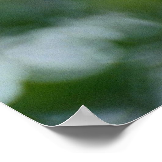 Fleckspecht Poster (Ecke)