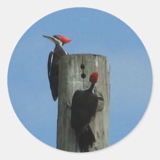 Fleckvögel auf einem Pole Runder Aufkleber