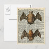 Fledermaus-Anatomie Postkarte (Vorne/Hinten)