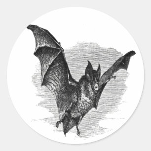 Fledermaus-Aufkleber Runder Aufkleber
