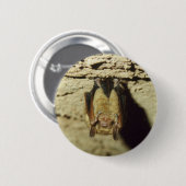 Fledermaus Button (Vorne & Hinten)