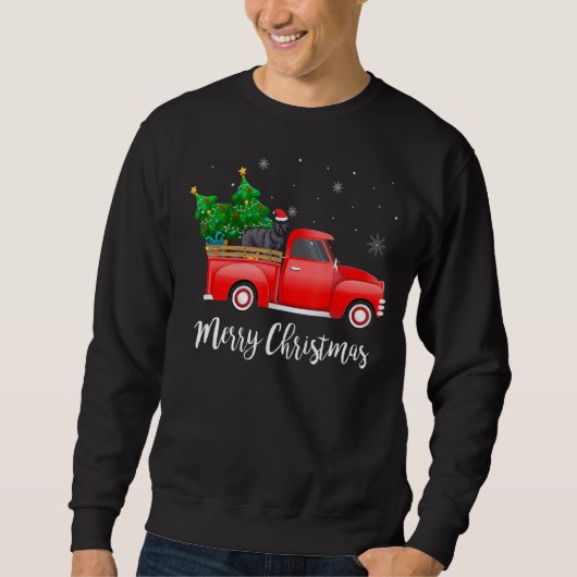 Fledermaus Dog Riding Red Truck Christma Sweatshirt (Vorderseite)