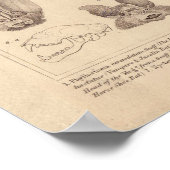 Fledermaus für Battdruckfrucht Poster (Ecke)