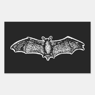 Fledermaus im Vintage-Stil Rechteckiger Aufkleber