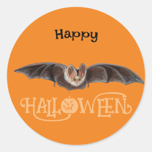 Fledermaus Pipistrellus Illustration Frohes Hallow Runder Aufkleber