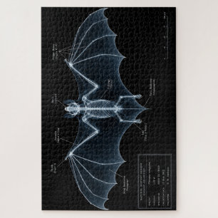 Fledermaus-Skelett-Röntgen-Museumspräparat Puzzle