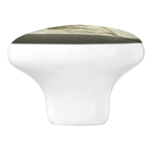 Fledermäuse fliegen Crow sitzt vor Halloween Vollm Keramikknauf (Seitenansicht)