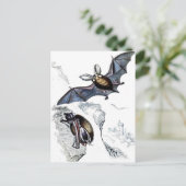 Fledermäuse Postkarte (Stehend Vorderseite)