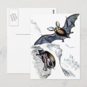 Fledermäuse Postkarte (Vorne/Hinten)
