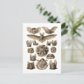 Fledermäuse Postkarte (Stehend Vorderseite)