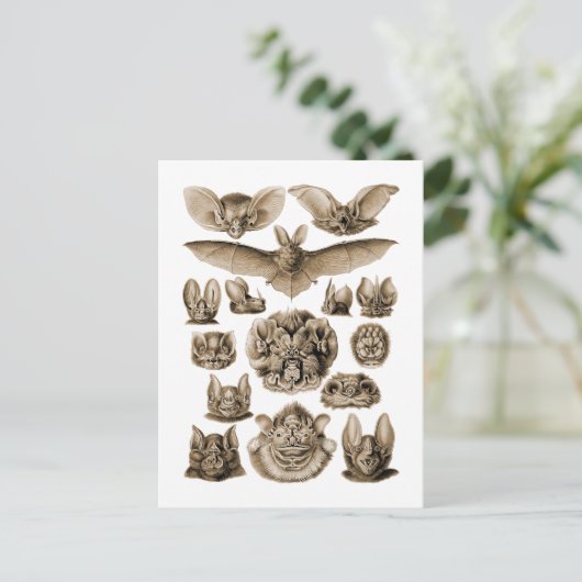 Fledermäuse Postkarte (Stehend Vorderseite)