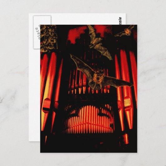 Fledermäuse Postkarte (Vorne/Hinten)