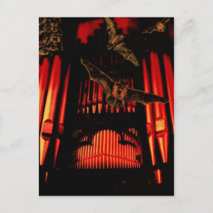 Fledermäuse Postkarte