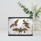 Fledermäuse und Bildungsplatten Postkarte (Stehend Vorderseite)