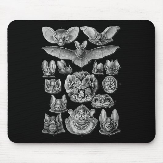 Fledermäuse Wissenschaftliche Illustration Zeichne Mousepad (Vorne)