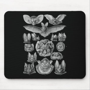 Fledermäuse Wissenschaftliche Illustrationszeichnu Mousepad