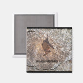 Fledermaushöhle Magnet (Vorderseite/Rückseite)