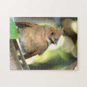 Fledgling Kardinal Baby Bird fotografisch Puzzle (Horizontal)
