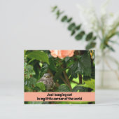 Fledgling Mockingbird Cute Wildlife Photographic Postkarte (Stehend Vorderseite)