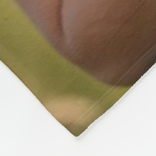 Fleece Blanket (Ecke)