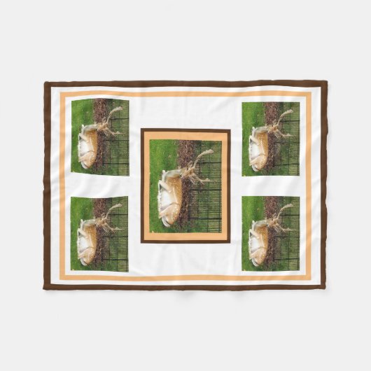 Fleece Blanket (Vorderseite (Horizontal))